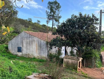 Terreno para Venda em Mexilhoeira Grande