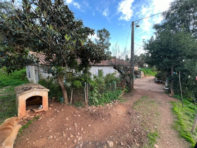Terreno para Venda em Mexilhoeira Grande Foto 4