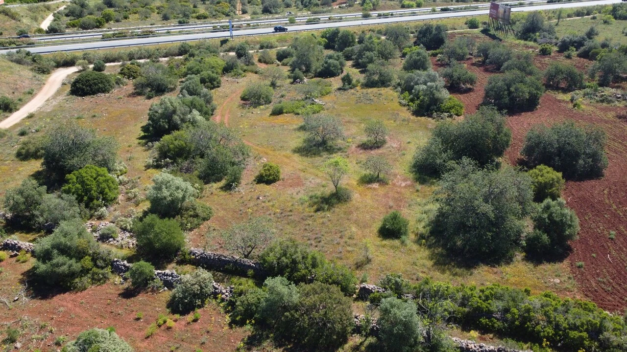 Terreno para Venda em Paderne Foto 5