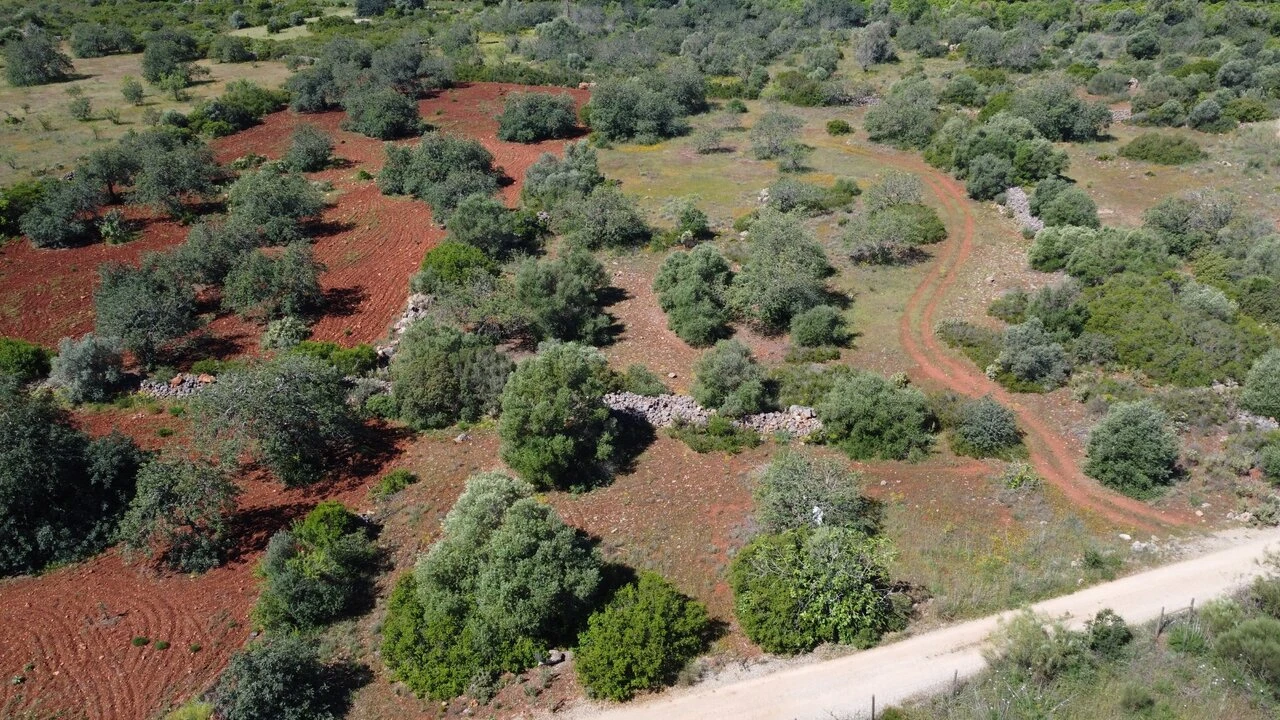 Terreno para Venda em Paderne Foto 6