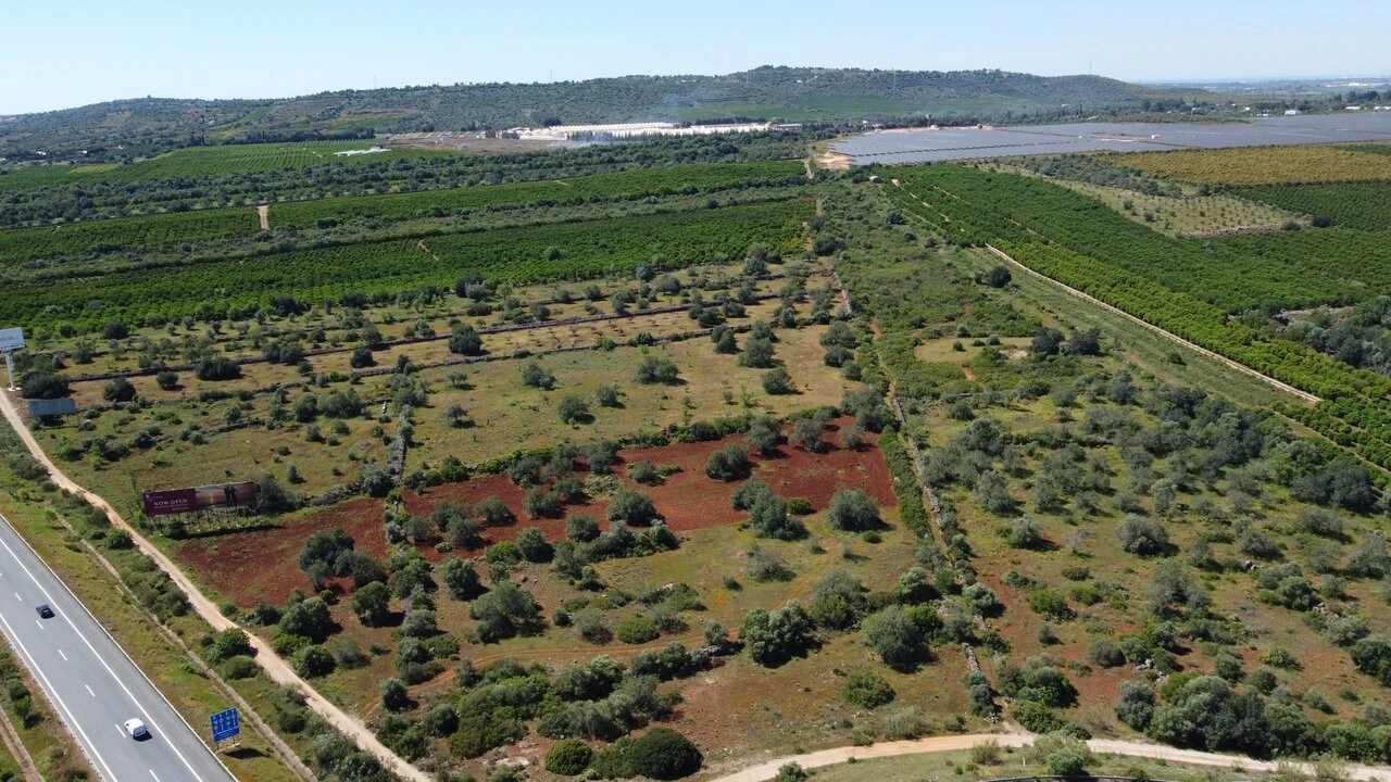 Terreno para Venda em Paderne Foto 8