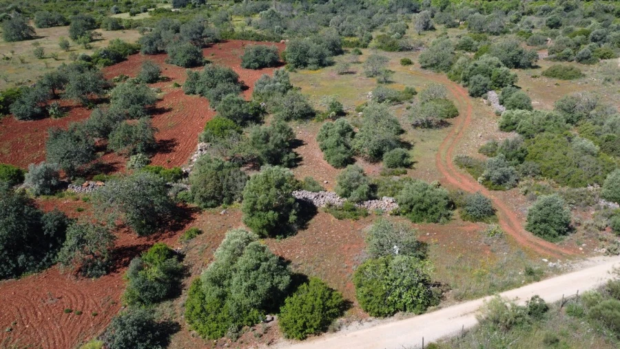 Terreno para Venda em Paderne Foto 6