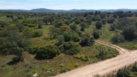 Terreno para Venda em Paderne