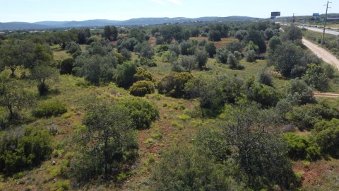 Terreno para Venda em Paderne
