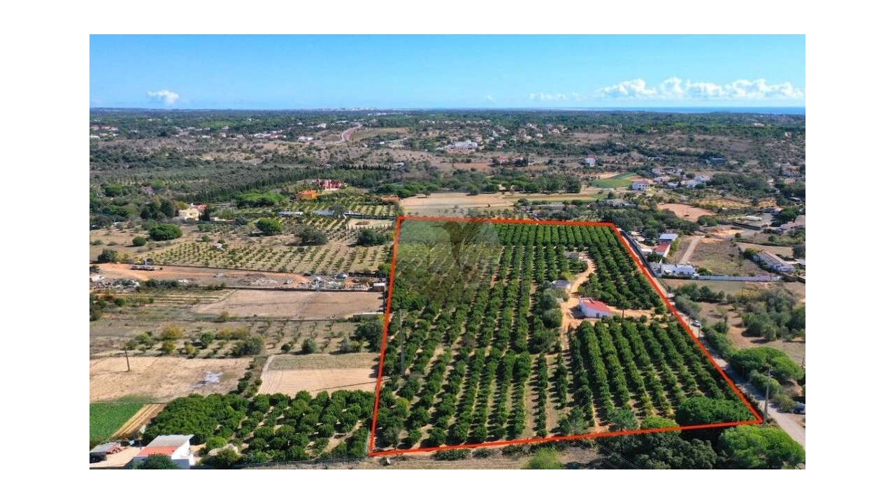 Terreno para Venda em Quarteira Foto 16