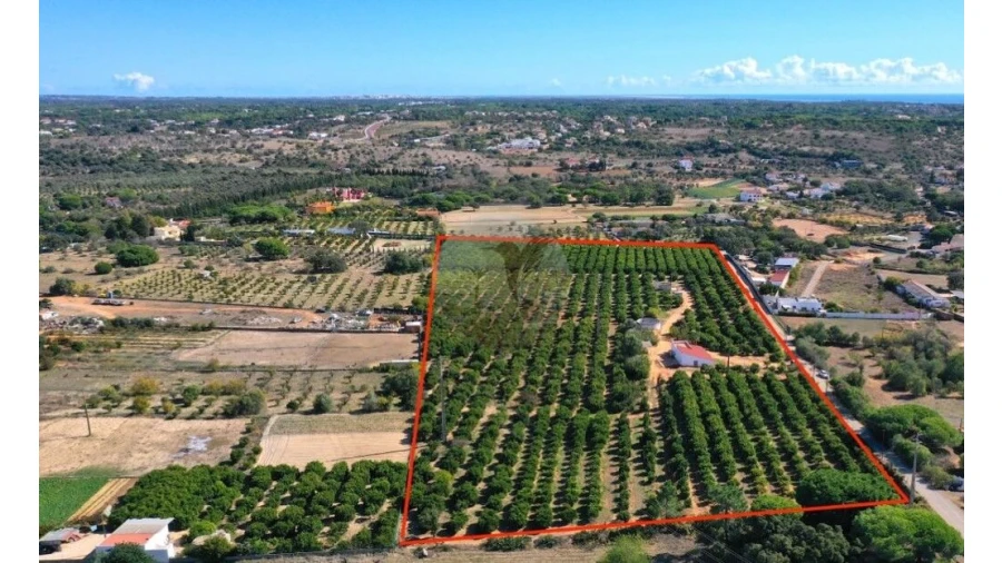 Terreno para Venda em Quarteira Foto 16