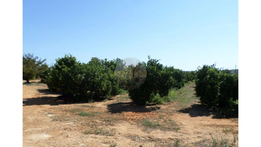 Terreno para Venda em Quarteira Foto 10