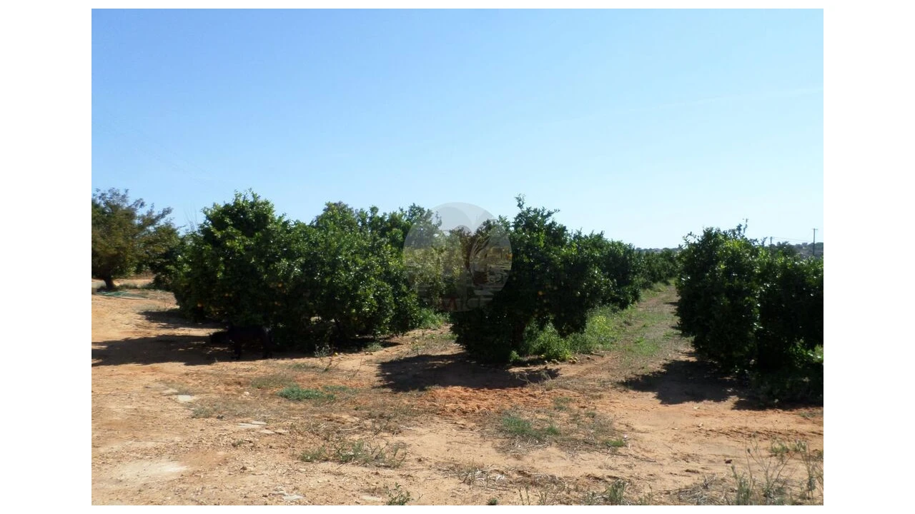 Terreno para Venda em Quarteira Foto 10