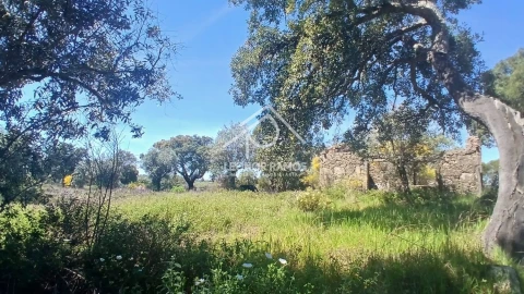 Terreno para Venda em São Miguel de Acha