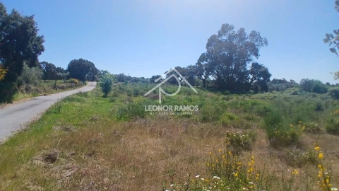 Terreno para Venda em São Miguel de Acha