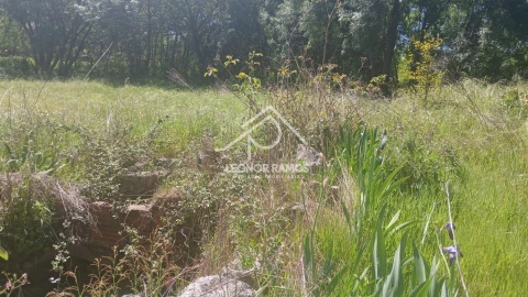 Terreno para Venda em São Miguel de Acha