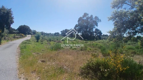 Terreno para Venda em São Miguel de Acha
