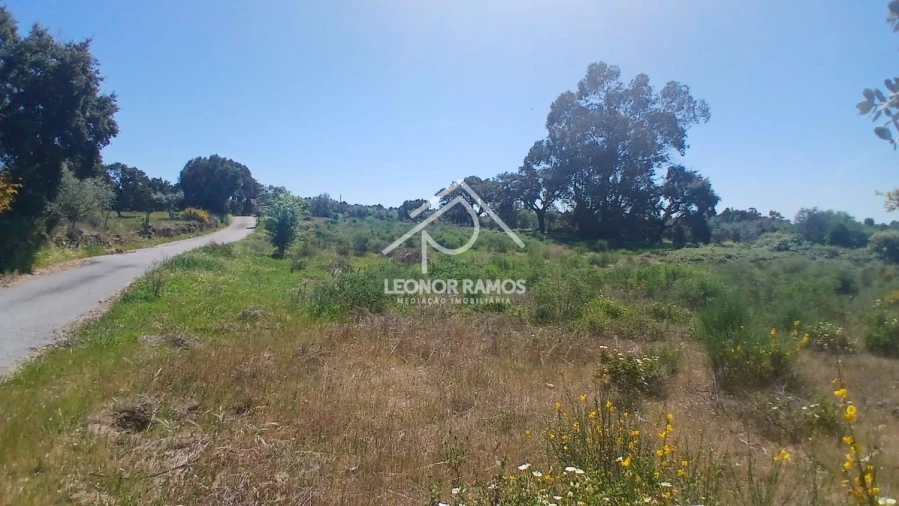 Terreno para Venda em São Miguel de Acha Foto 22