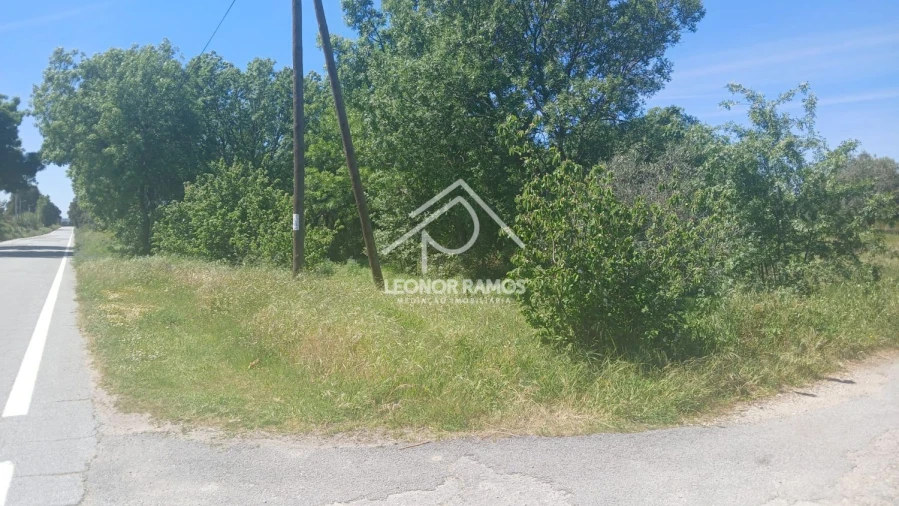 Terreno para Venda em São Miguel de Acha Foto 19
