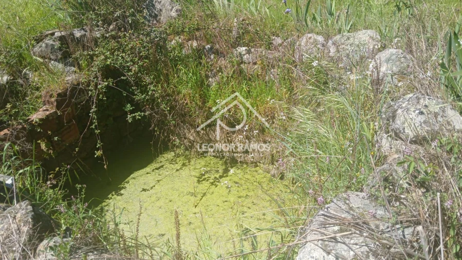 Terreno para Venda em São Miguel de Acha Foto 27