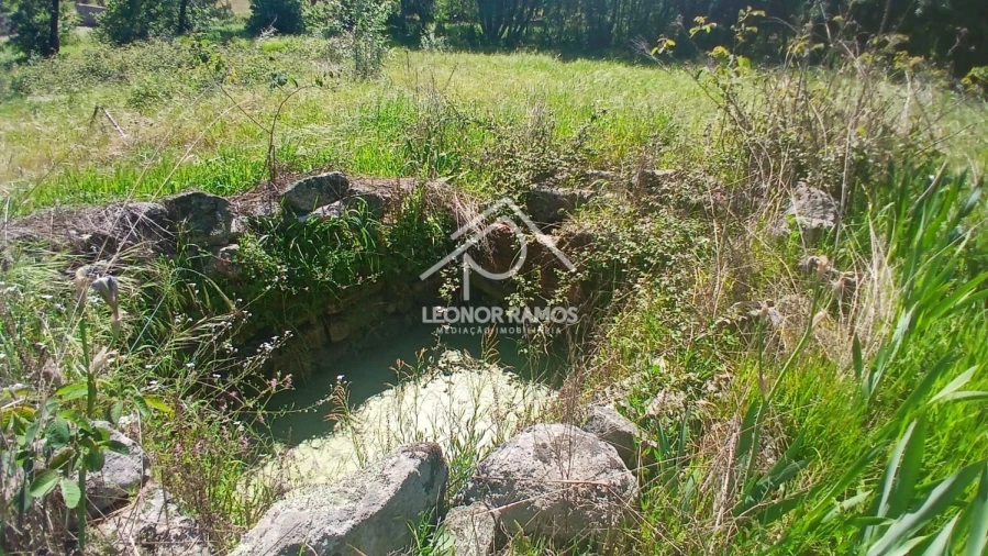 Terreno para Venda em São Miguel de Acha Foto 24