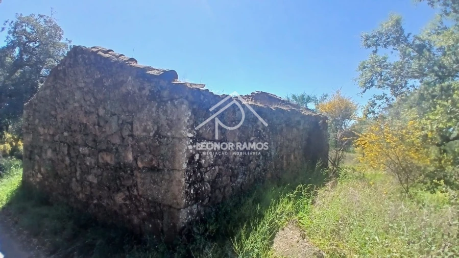 Terreno para Venda em São Miguel de Acha Foto 3