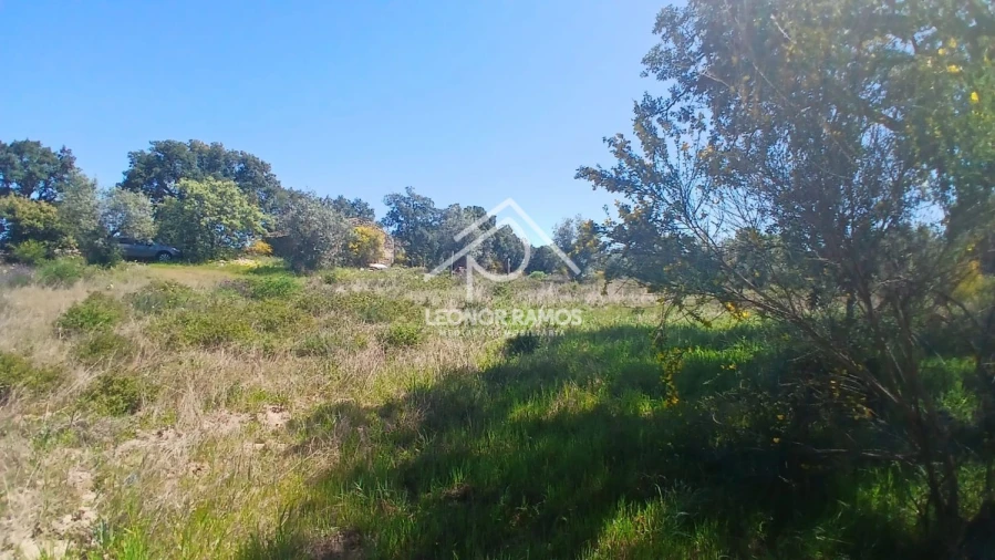 Terreno para Venda em São Miguel de Acha Foto 8