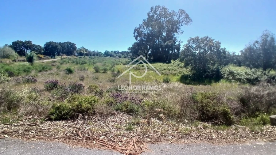 Terreno para Venda em São Miguel de Acha Foto 13