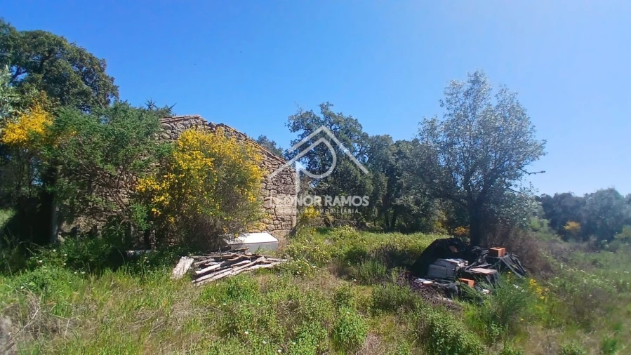Terreno para Venda em São Miguel de Acha Foto 9
