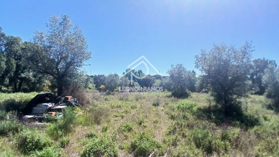Terreno para Venda em São Miguel de Acha Foto 4