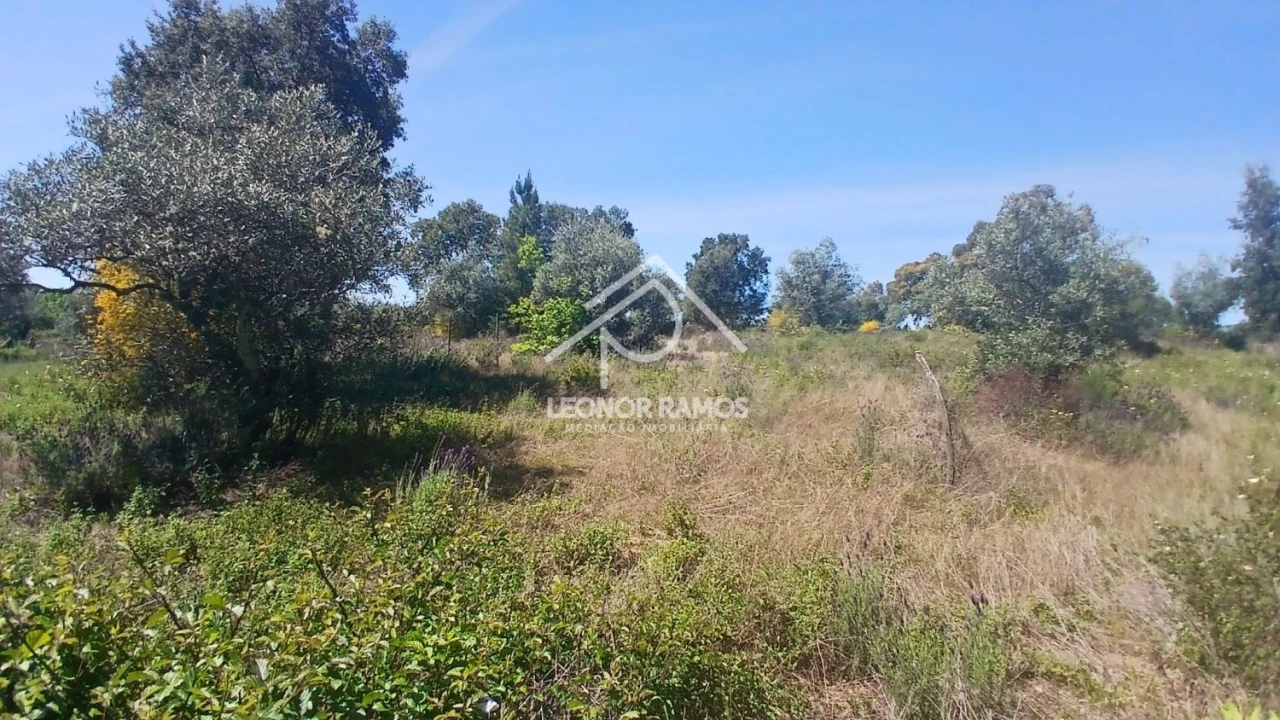 Terreno para Venda em São Miguel de Acha Foto 16