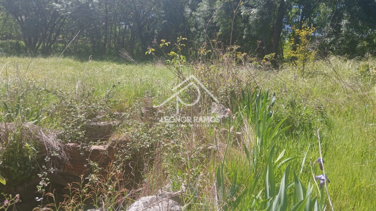 Terreno para Venda em São Miguel de Acha Foto 25