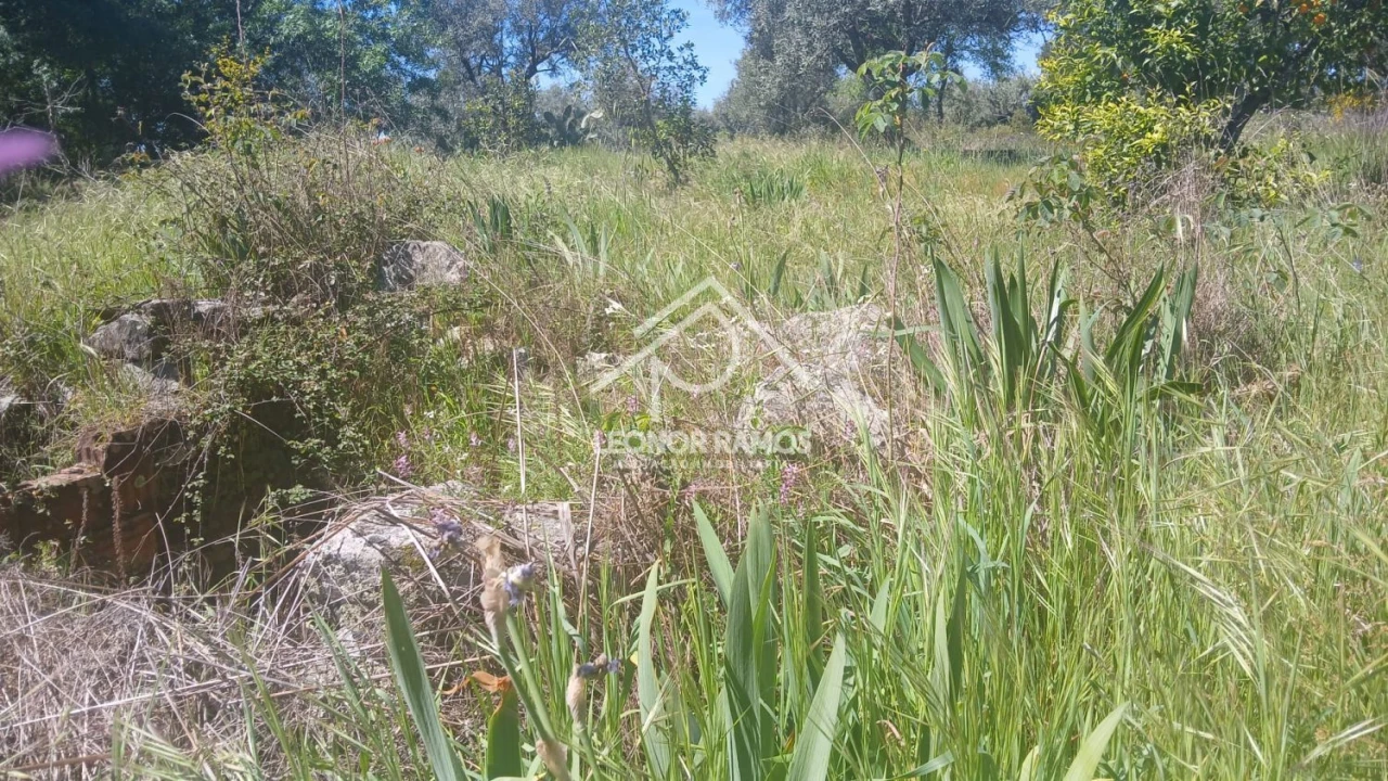 Terreno para Venda em São Miguel de Acha Foto 26