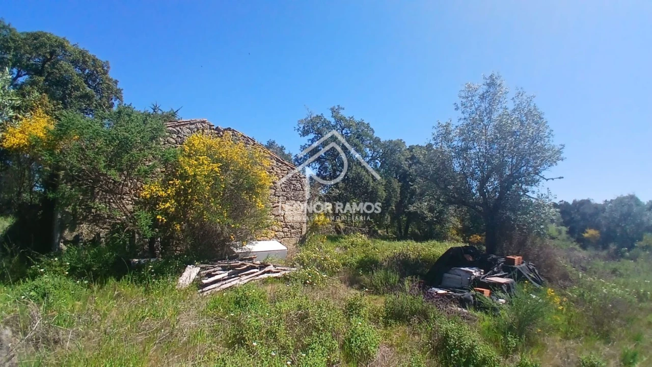 Terreno para Venda em São Miguel de Acha Foto 9