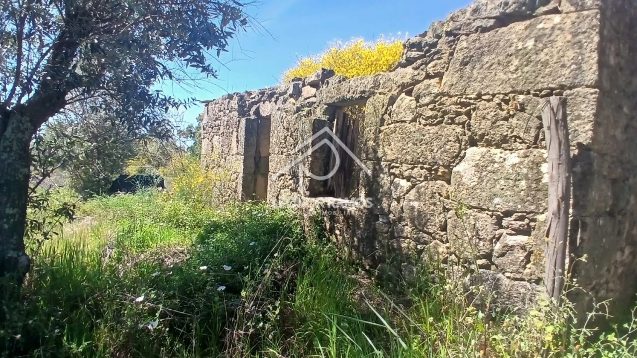 Terreno para Venda em São Miguel de Acha Foto 2