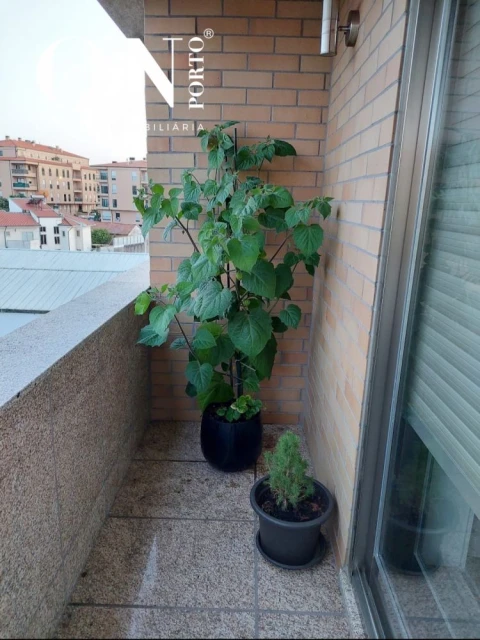 Apartamento T3 para Venda em Canidelo
