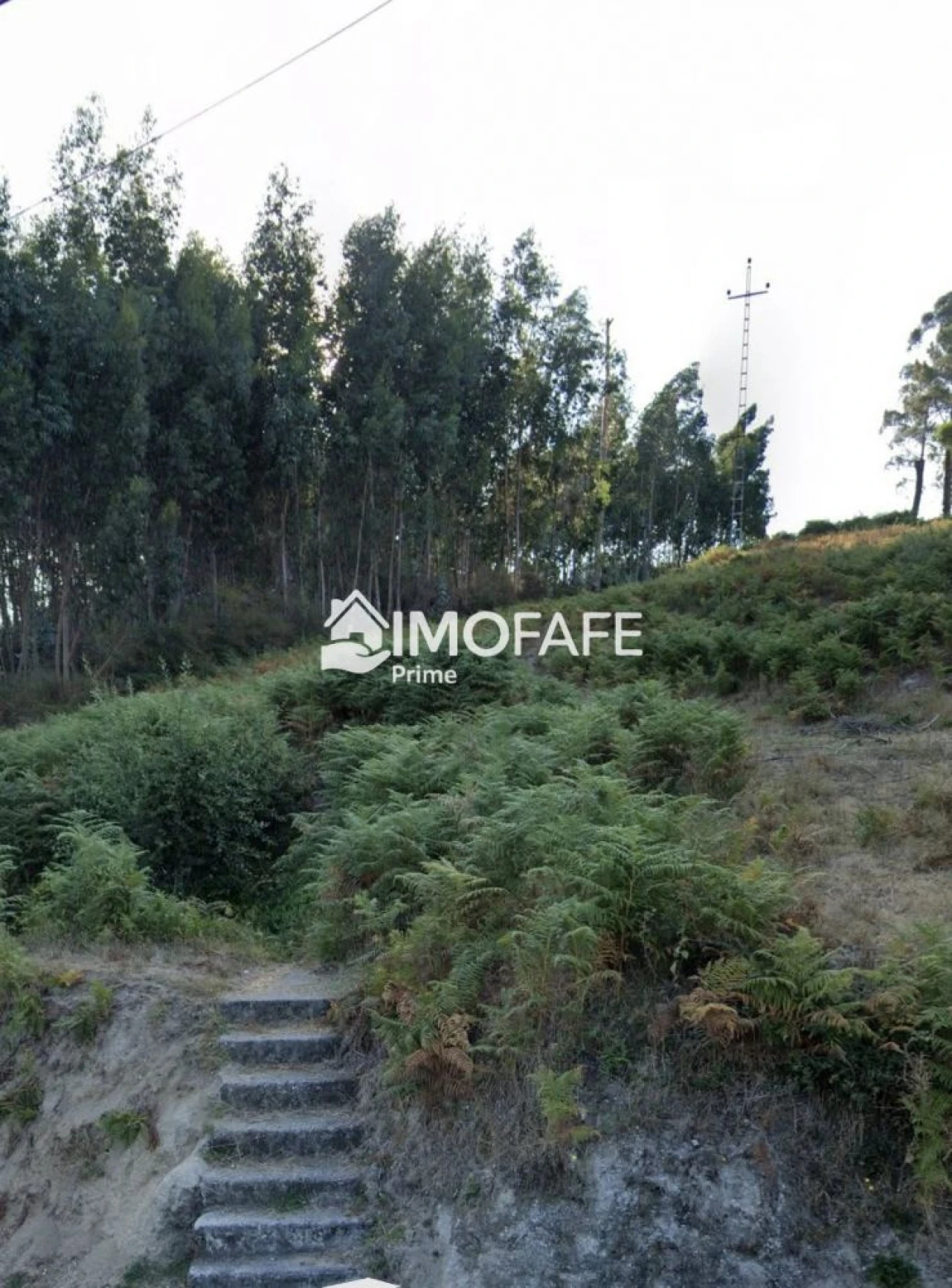 Terreno para Venda em Vinhos Foto 20