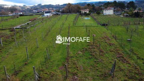Terreno para Venda em Revelhe