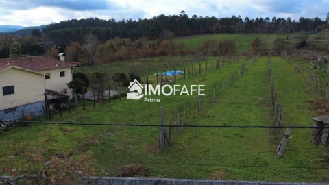 Terreno para Venda em Revelhe
