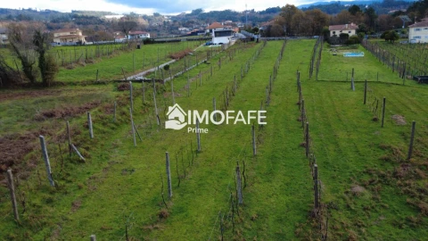 Terreno para Venda em Revelhe