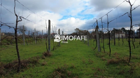 Terreno para Venda em Revelhe