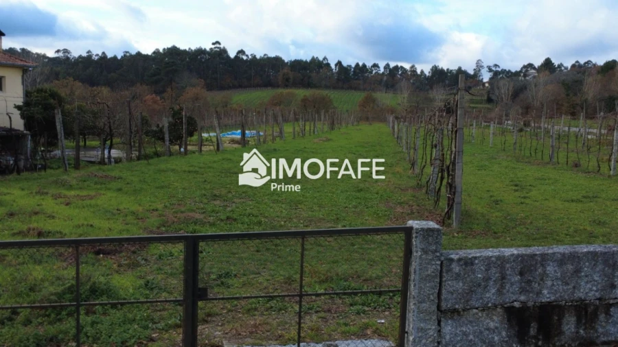 Terreno para Venda em Revelhe Foto 25