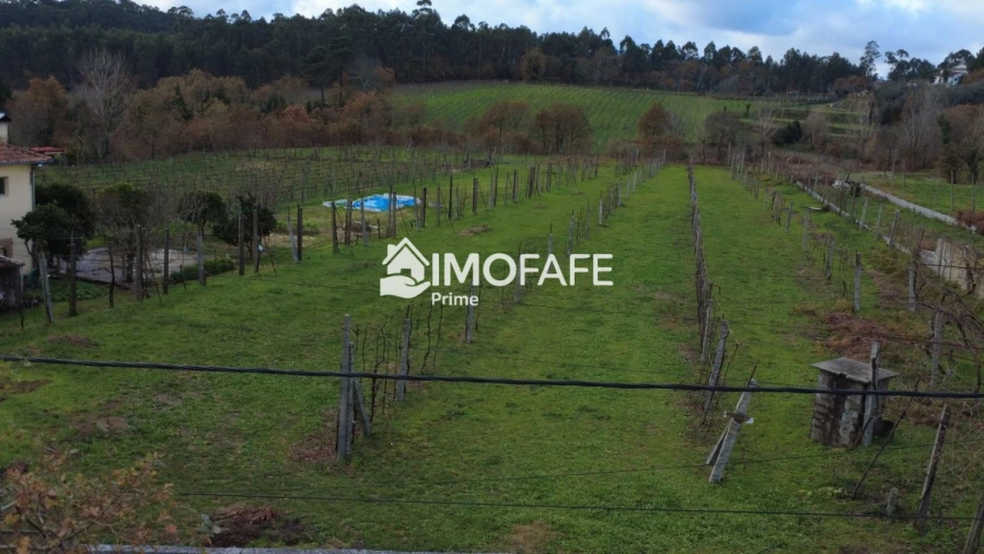 Terreno para Venda em Revelhe Foto 14