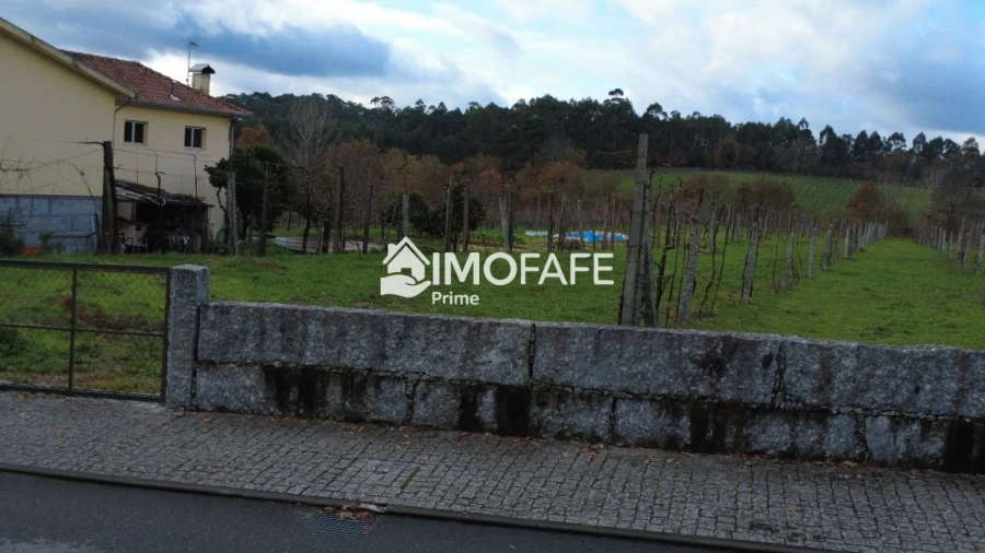 Terreno para Venda em Revelhe Foto 23