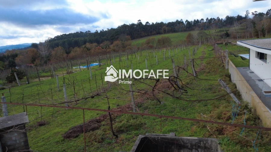 Terreno para Venda em Revelhe Foto 11
