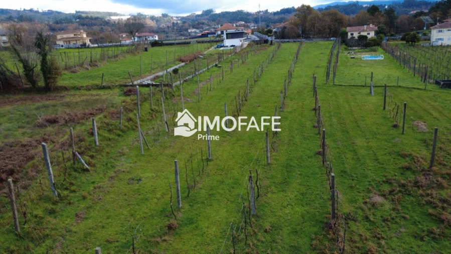 Terreno para Venda em Revelhe Foto 4