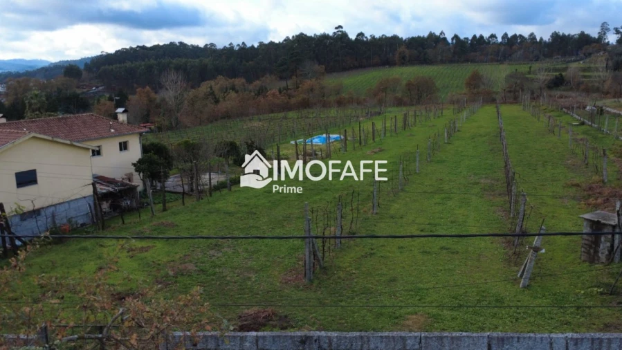 Terreno para Venda em Revelhe Foto 5