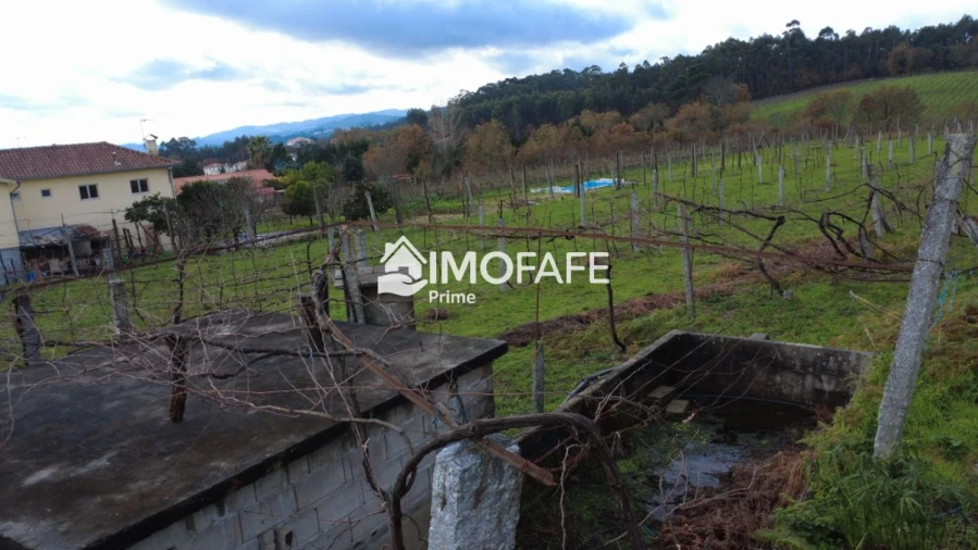 Terreno para Venda em Revelhe Foto 17