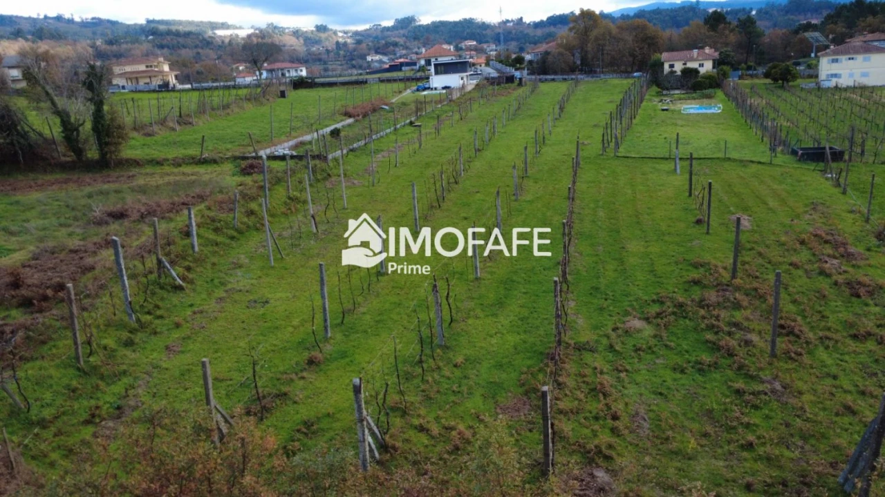 Terreno para Venda em Revelhe Foto 9