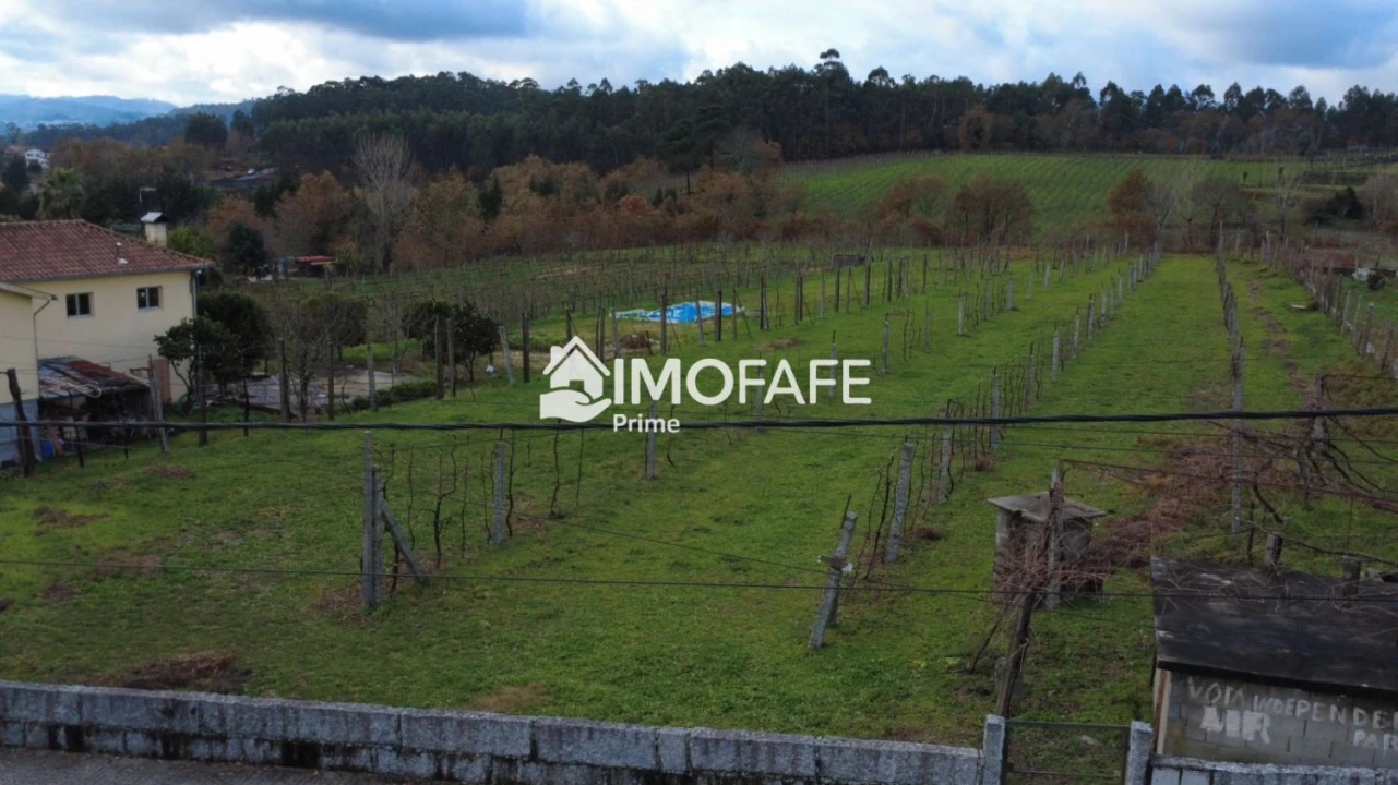 Terreno para Venda em Revelhe Foto 13