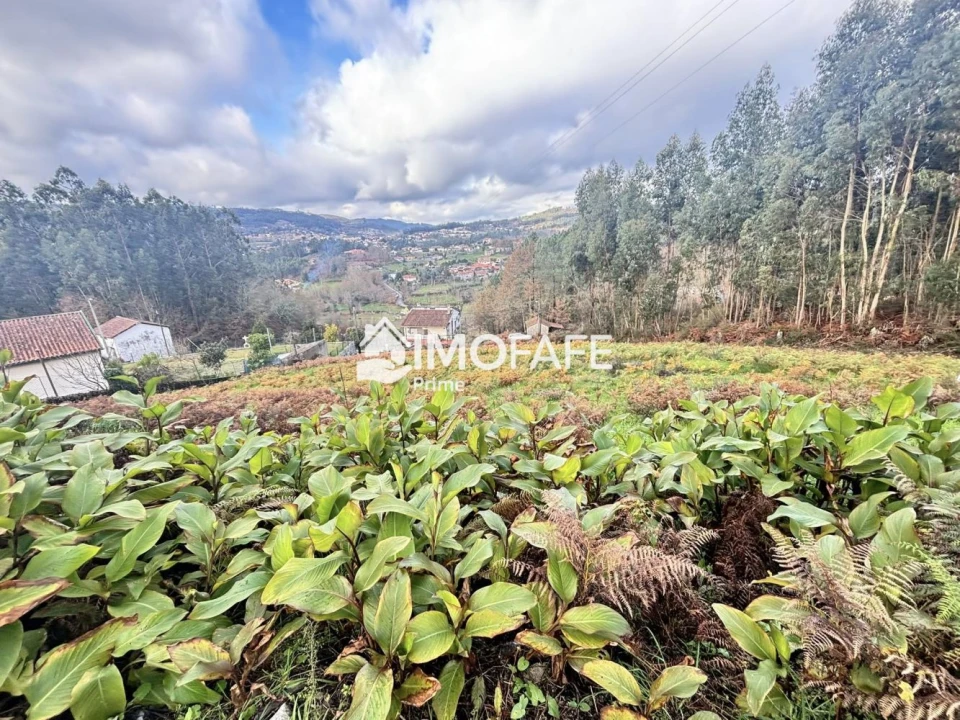 Terreno para Venda em Vinhos Foto 27