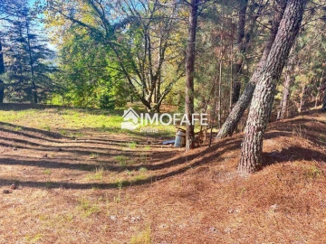 Terreno para Venda em Ribas