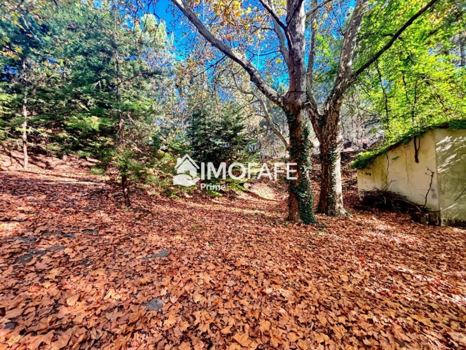 Terreno para Venda em Ribas Foto 18