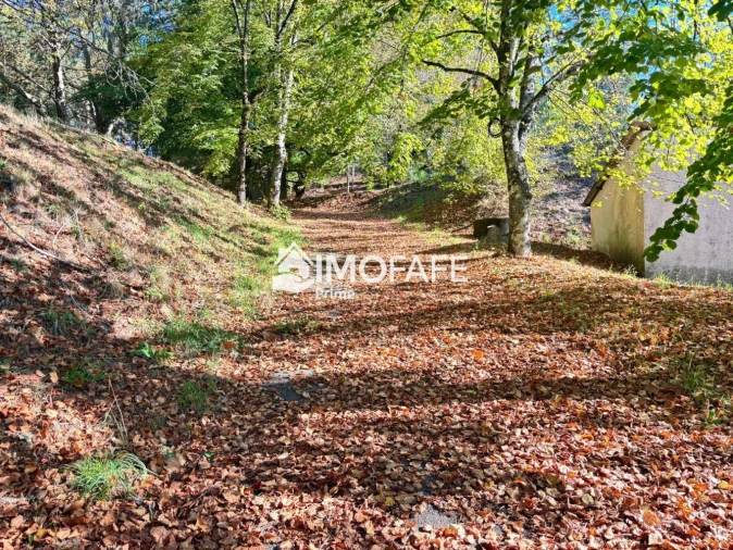 Terreno para Venda em Ribas Foto 24