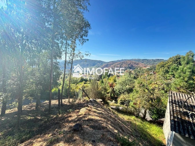 Terreno para Venda em Ribas Foto 19